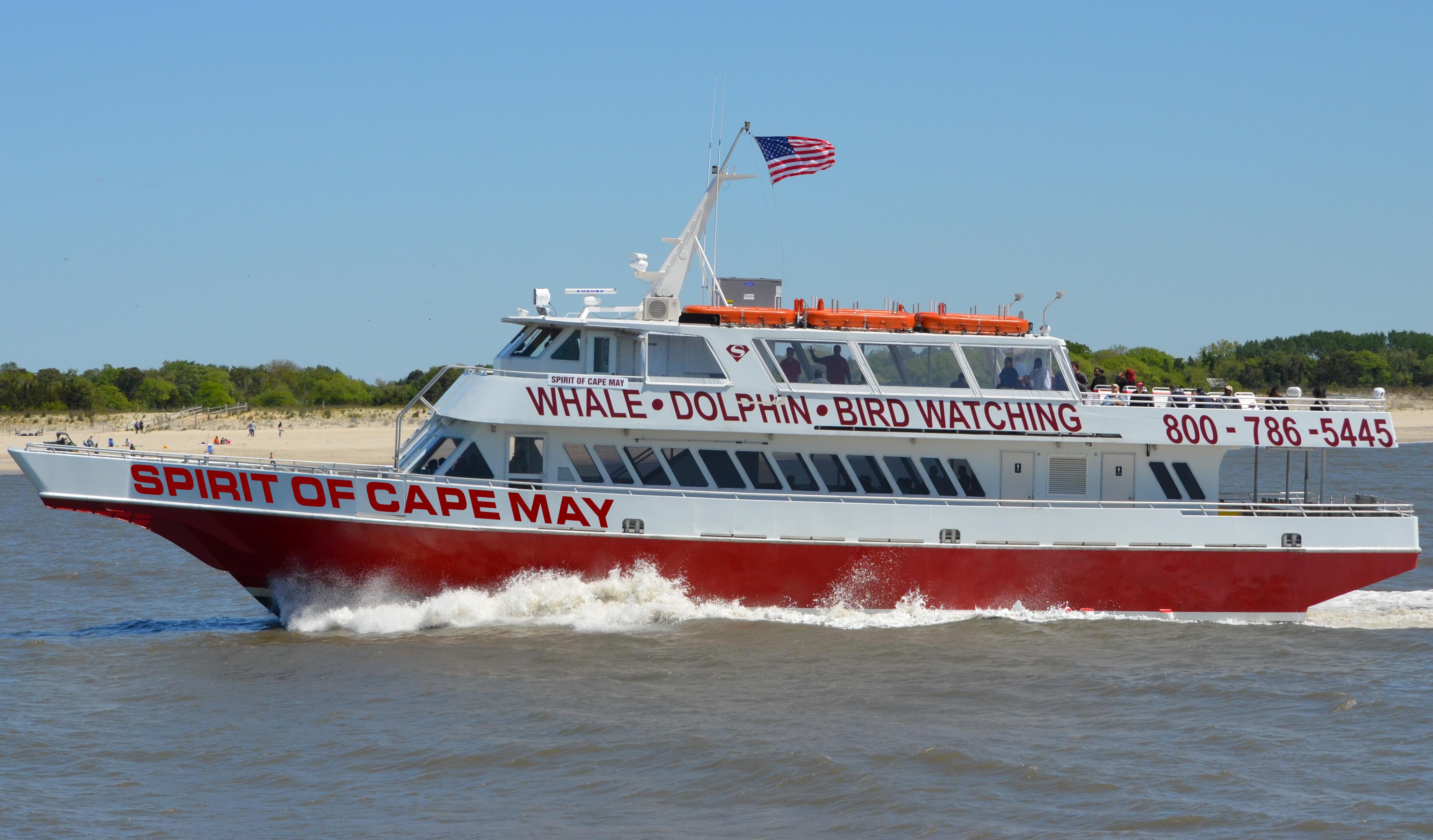 yacht rentals cape may