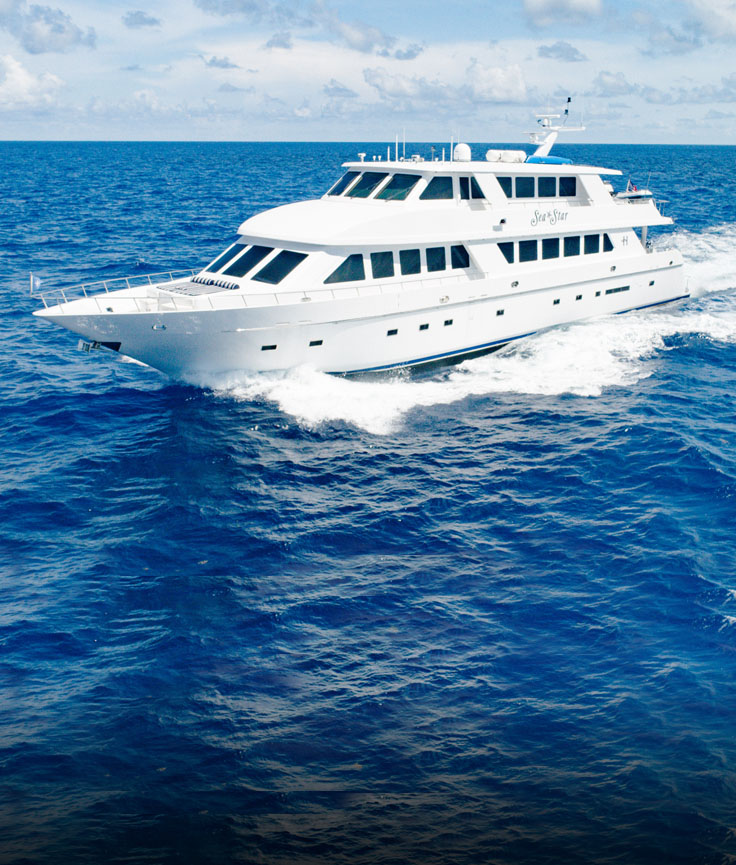 Yacht Charters | Luxury Yacht Charter | Superyacht Rentals